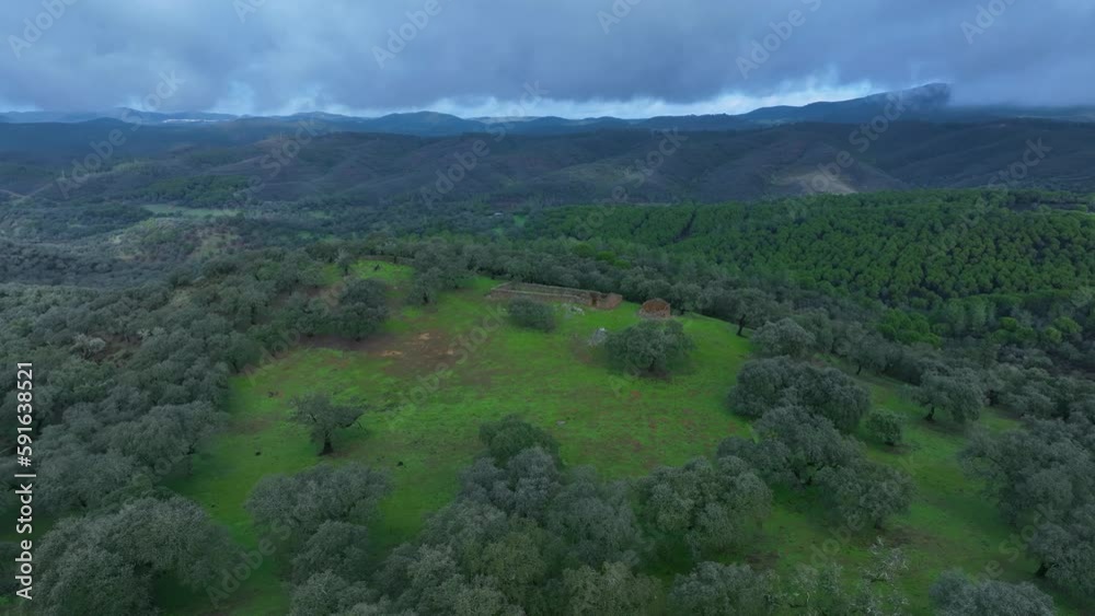 Mediterranean forest in Higuera de la Sierra in the surroundings of the Río Tinto. Sierra Morena, Gulf of Cádiz, Huelva, Andalusia, Spain, Europe Mediterranean forest in Higuera de la Sierra in the surroundings of the Río Tinto. Sierra Morena, Gulf of Cádiz, Huelva, Andalusia, Spain, Europe