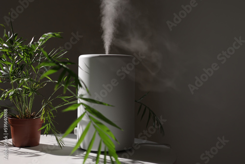 Tableau sur toile Air purifier and humidifier releases strong stream of cold steam close green houseplant