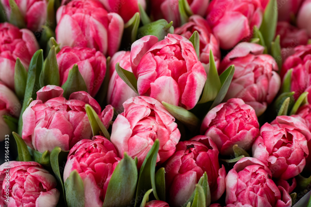 Fototapeta premium beautiful bouquet of tulips for event