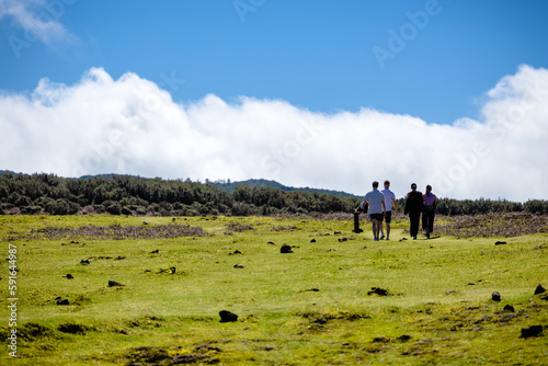 A group of people are walking in the grass under a cloudy sky