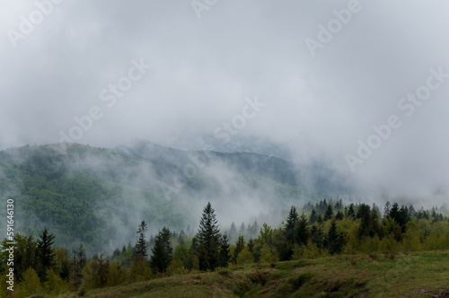 Landscape of mountains  forest against the background of mountains  clouds