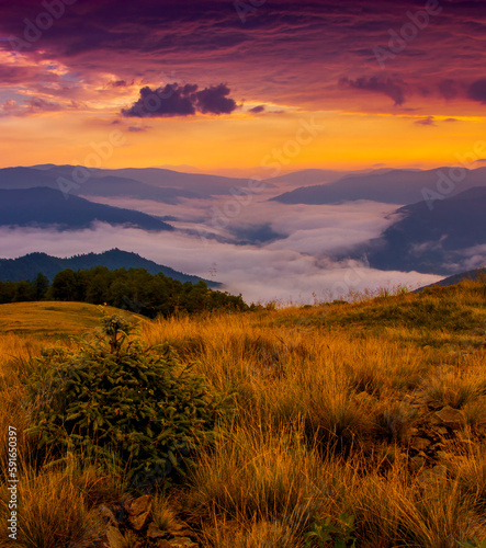 summer nature scenery, scenic sunset view in the mountains  © Rushvol