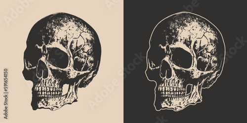 Set of vintage retro scary skull. Can be used like emblem, logo, badge, label. mark, poster or print. Monochrome Graphic Art. Vector. Hand drawn element in engraving