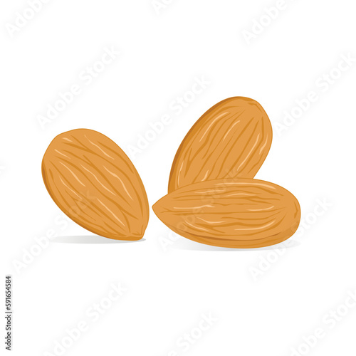 basic vector set of almonds