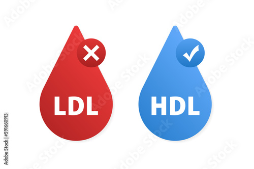HDL, LDL great design for any purposes. Medical infographic. Good (HDL) and bad (LDL) cholesterol. Health and medical concept. Vector illustration
