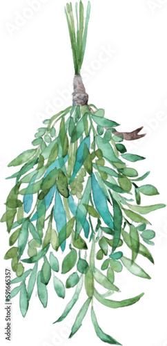 水彩画。水彩タッチのベクタースワッグイラスト。ドライフラワーのスワッグ。Watercolor painting. Vector swag illustration with watercolor touch. Dried flower swag.