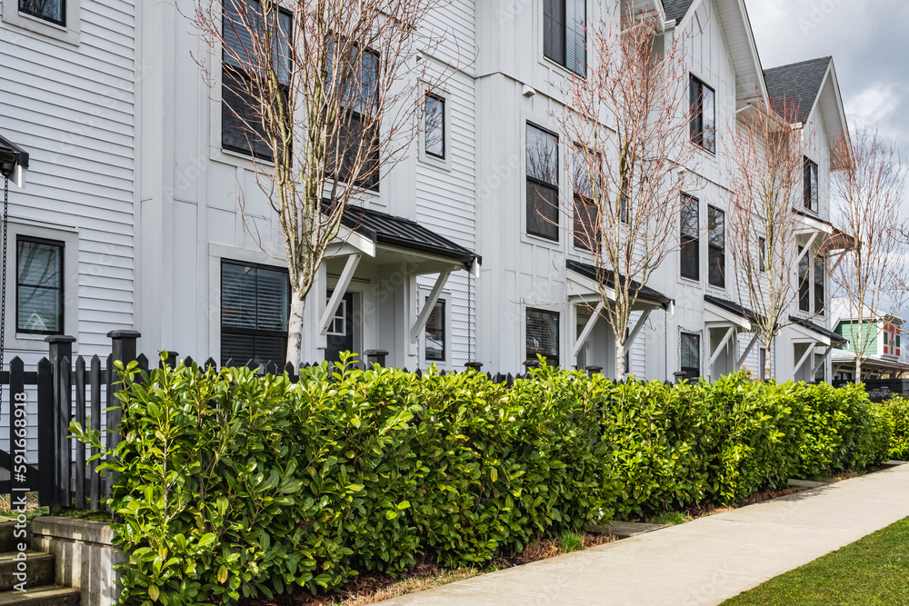 New residential townhouses. Modern apartment buildings in Canada. Modern complex of apartment buildings