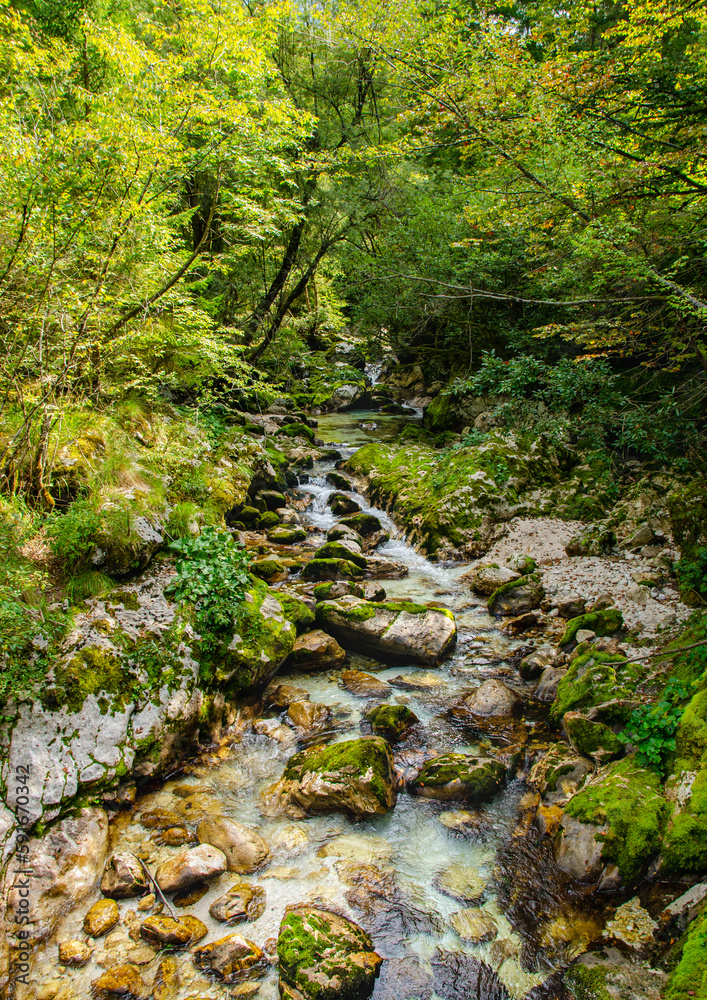 Beautiful turquoise stream of Soca river in a valley. Forest Path in Slovenia. Perfect summer day. Beautiful turquoise stream of Soca river in a valley. Forest Path in Slovenia. Perfect summer day.