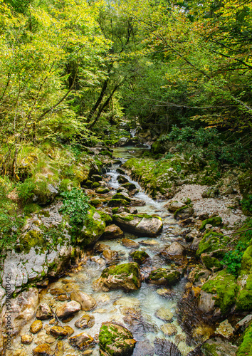 Beautiful turquoise stream of Soca river in a valley. Forest Path in Slovenia. Perfect summer day.