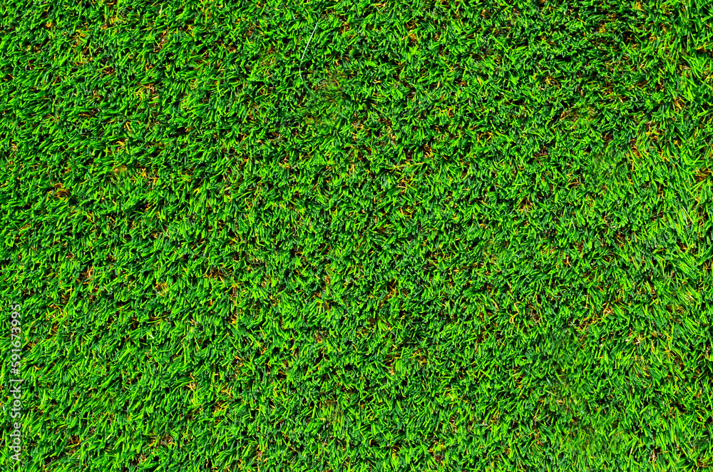 Fototapeta premium Green grass of a golf course as a natural texture background for design.Top view.Selective focus.