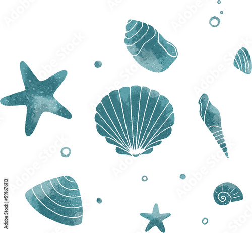 Canvas Print Seashells hand drawn illustration