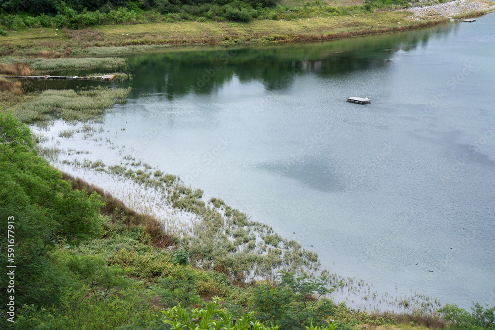 Peaceful landscape. View of the lake, shore, grass and forest. Peaceful landscape. View of the lake, shore, grass and forest.