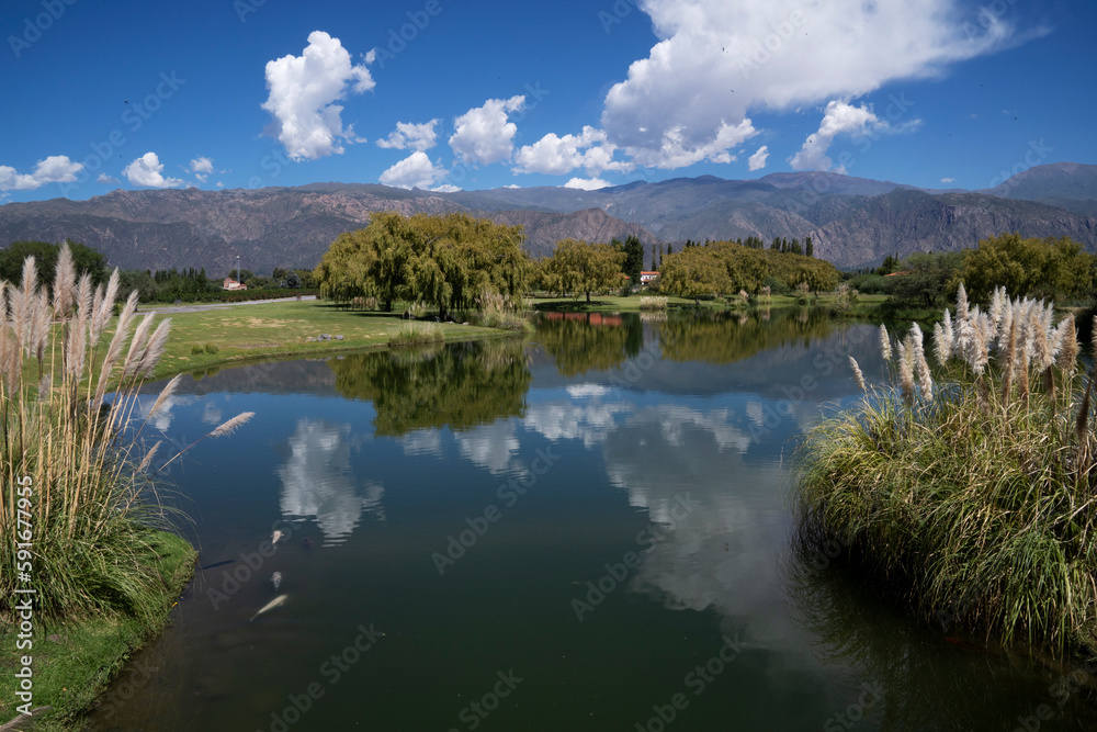 View of the placid artificial lake, carp fishes, trees and mountains in the background, under a beautiful sky. 