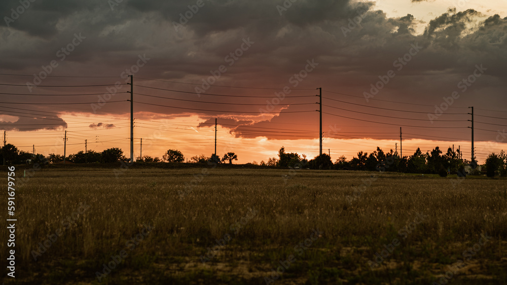 Obraz premium sunset in the field
