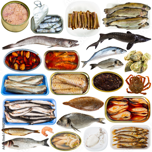 Set of various raw fish and seafood products and semimanufactures isolated on white background photo