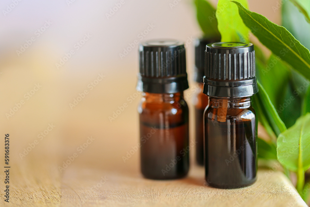 Laurel leaf oil bottles set on wood table with green sprigs of bay leaf.Essential oil set. Aromatherapy and essential natural oils Laurel leaf oil bottles set on wood table with green sprigs of bay leaf.Essential oil set. Aromatherapy and essential natural oils