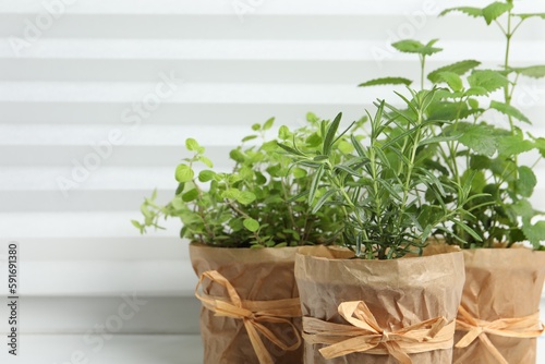 Different aromatic potted herbs on windowsill indoors, closeup. Space for text