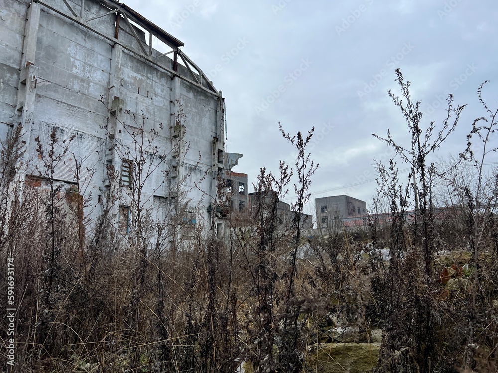 Vinnytsia Ukraine Chemist plant ruins and ruins of plant over time it looks more and more like shell hit and destroyed everything around there are no people no life only grass sprouts on bricks