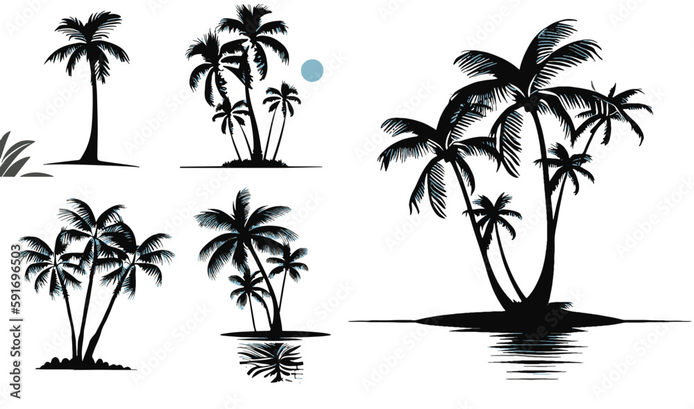 Coconut Palm Tree Set Vector
