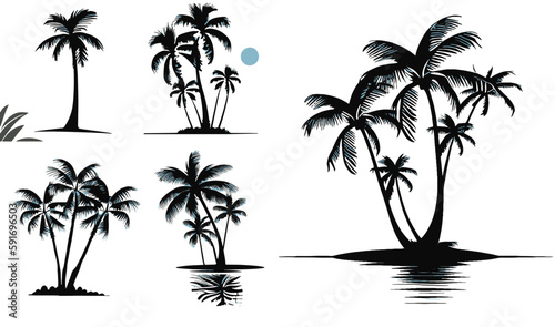 Coconut Palm Tree Set Vector