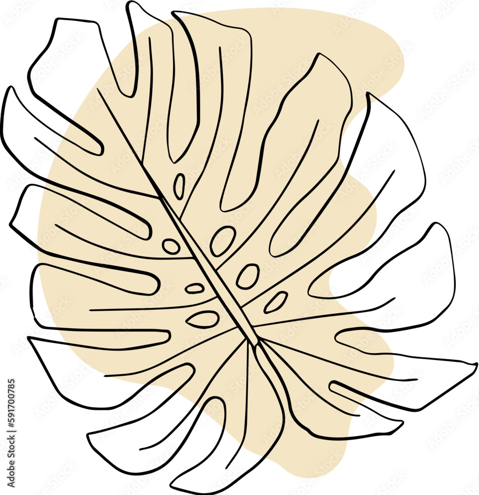 Monstera Leaves Line Art and Abstract Shapes Monstera Leaves Line Art and Abstract Shapes