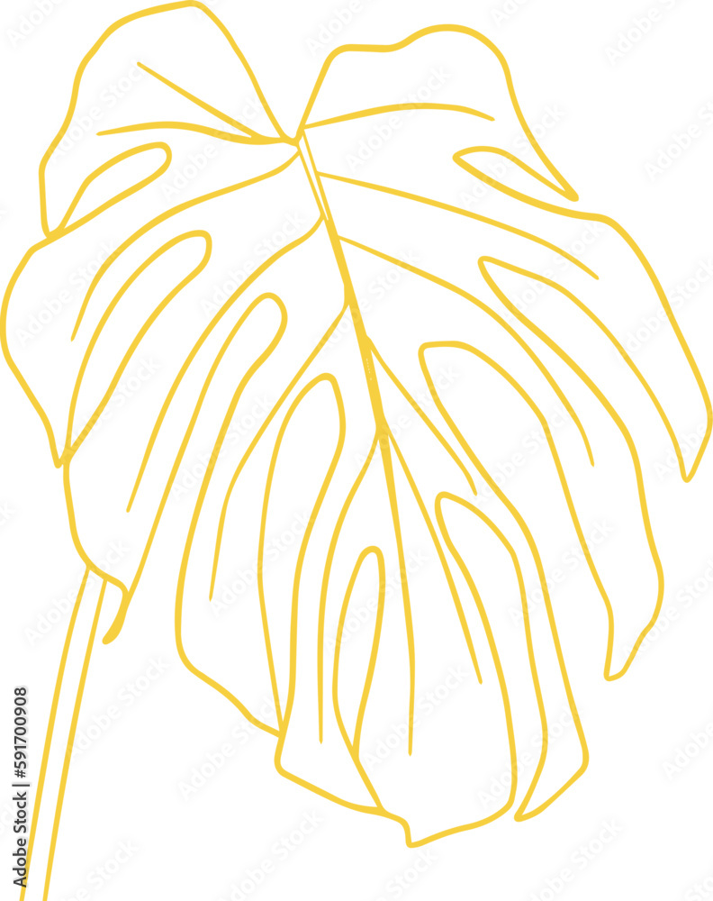 Obraz premium Monstera Tropical Leaf Line Art