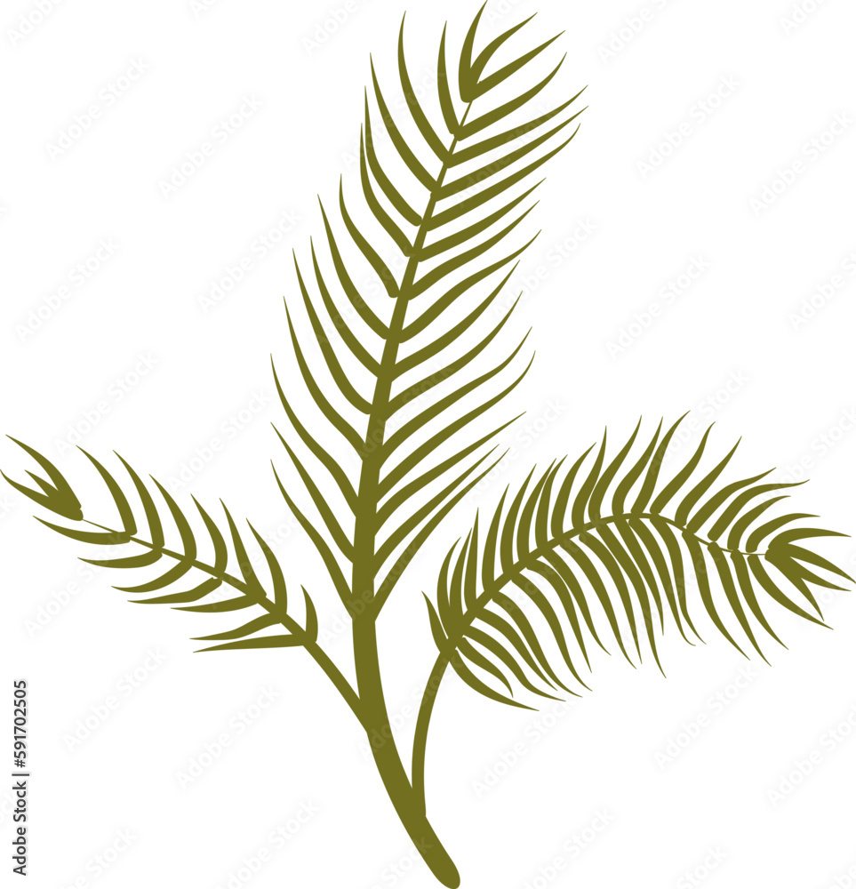 Palm Leaf
