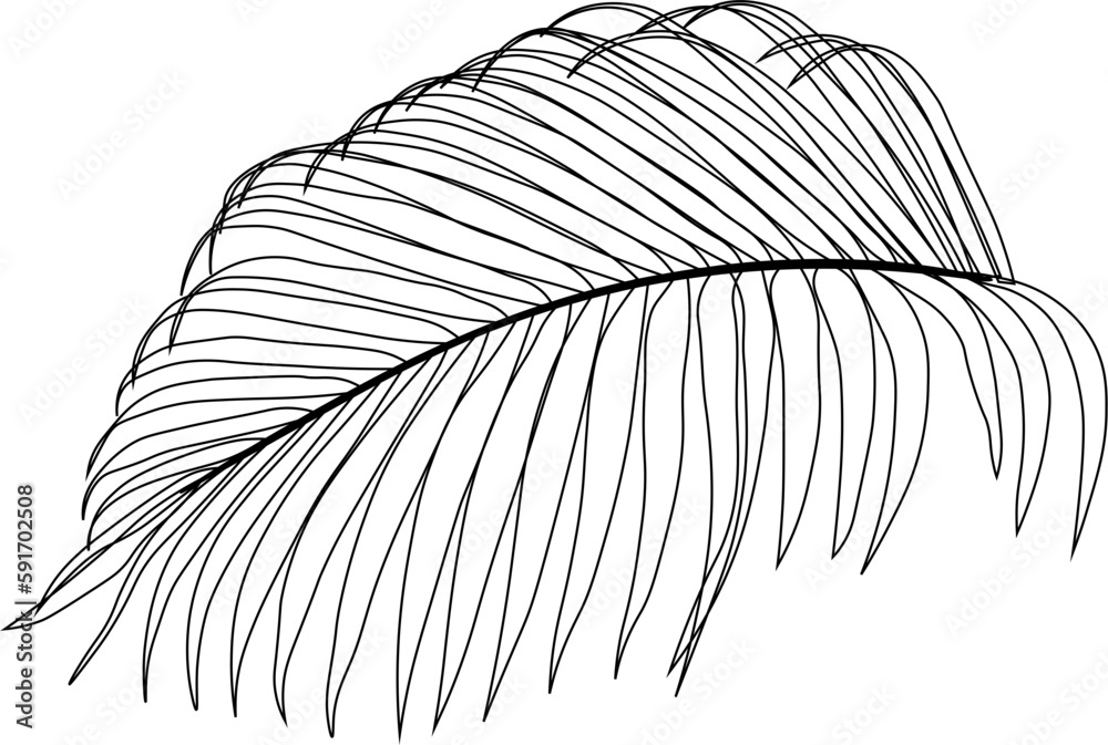 Obraz premium Palm Leaf