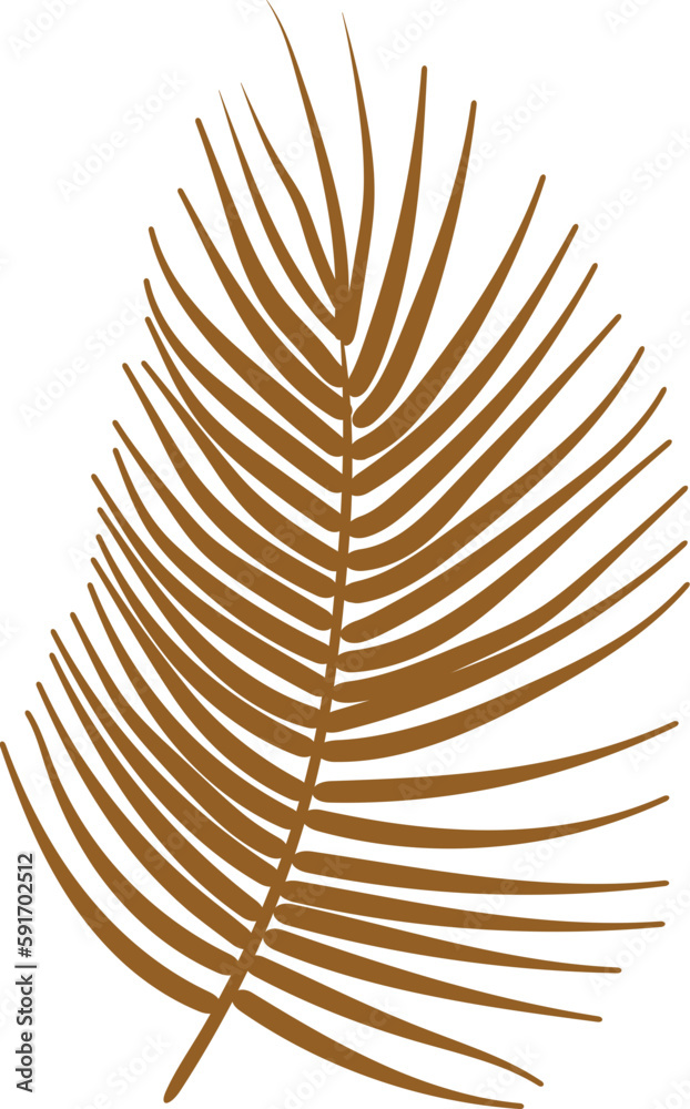 Obraz premium Palm Leaf