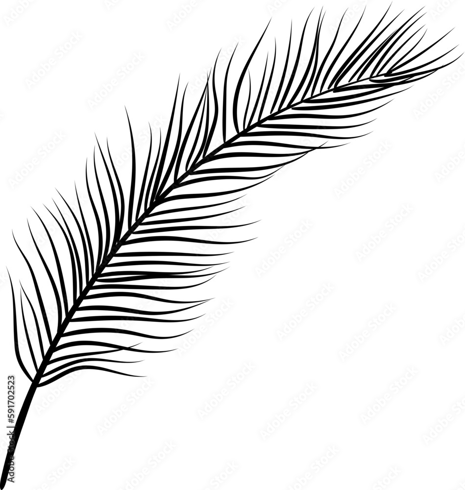 Obraz premium Palm Leaf