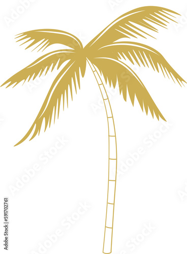 Palm tree