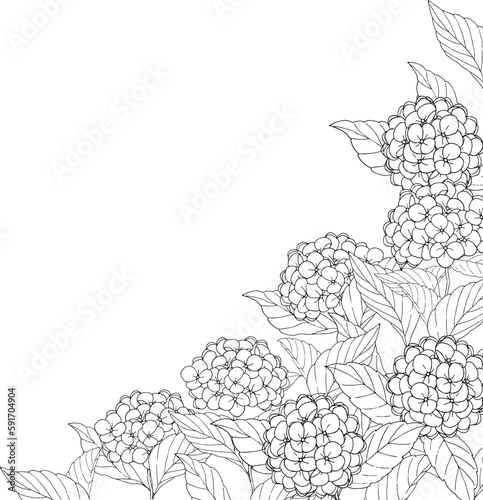 ペンで描いた紫陽花のフレーム