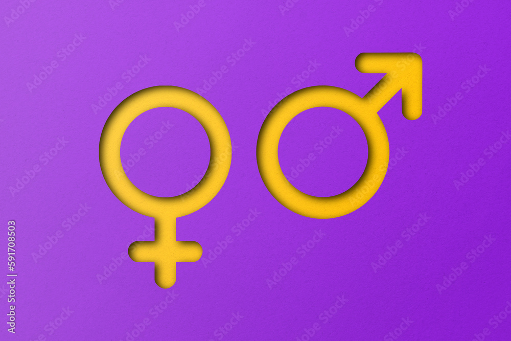 Yellow paper cut into shapes symbolizing males and females. set on a purple background Yellow paper cut into shapes symbolizing males and females. set on a purple background