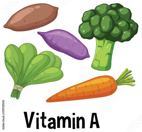 Colorful Vegetable Collection with Rich Vitamin A