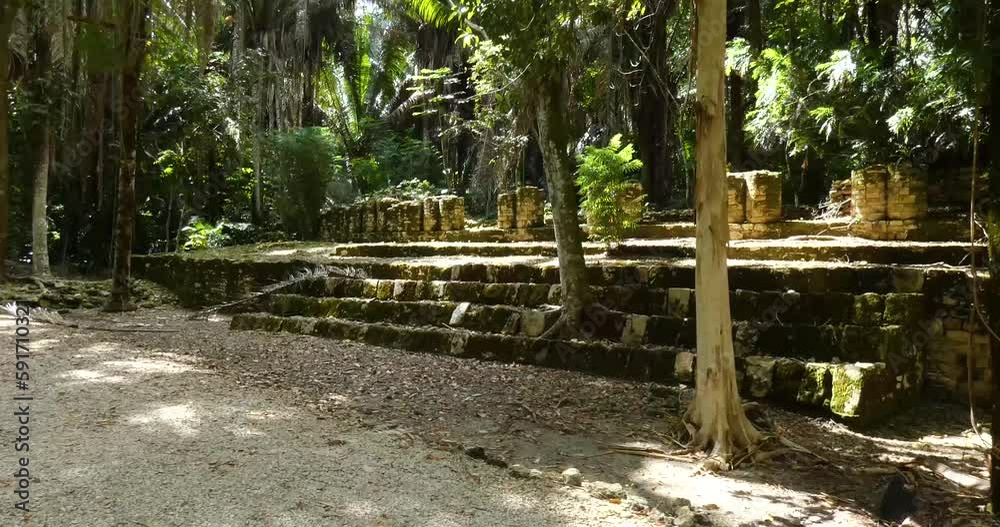 Trees growing on the Twinned Columns Building at Kohunlich Mayan Site - Quintana Roo, Mexico