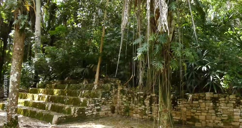 Dense rain-forest growing over the Mayan ruins at Kohunlich Mayan Site - Quintana Roo, Mexico.Tilt down. photo