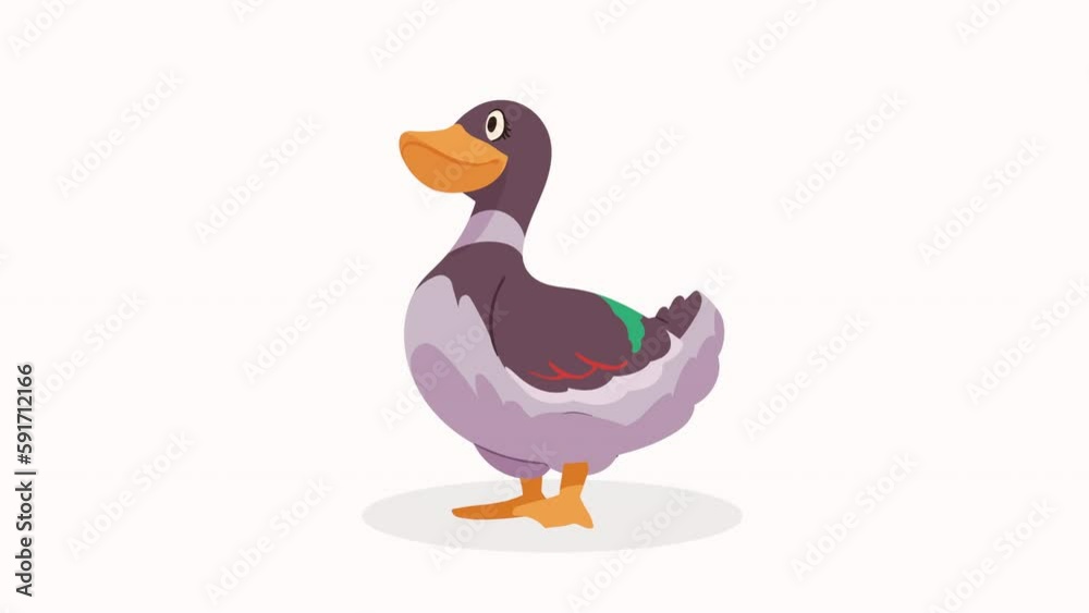 duck farm animal character animation