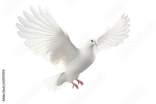 dove on a transparent background  Generative Ai