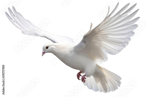 dove on a transparent background, Generative Ai