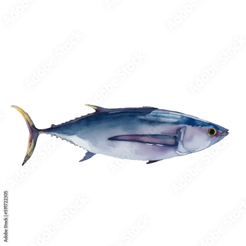 tuna with style hand drawn digital painting illustration