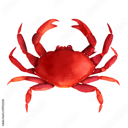 crab with style hand drawn digital painting illustration