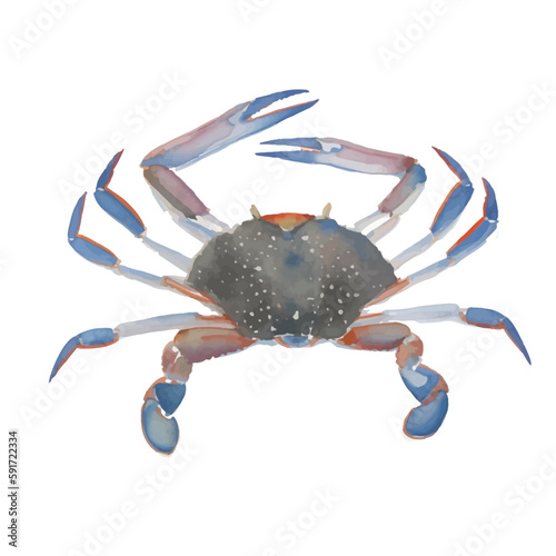 crab with style hand drawn digital painting illustration