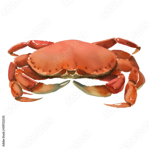 crab with style hand drawn digital painting illustration