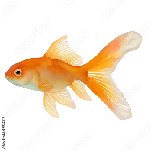 gold fish with style hand drawn digital painting illustration