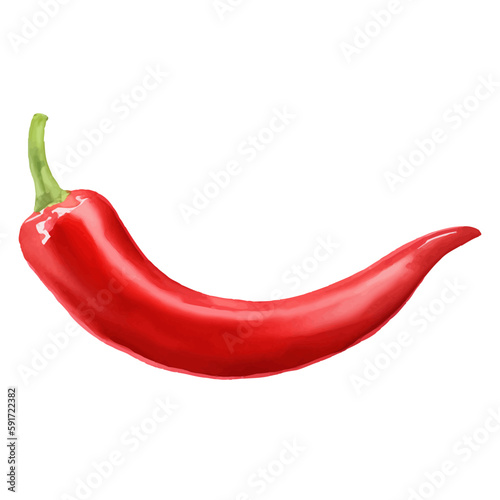 red chili with style hand drawn digital painting illustration