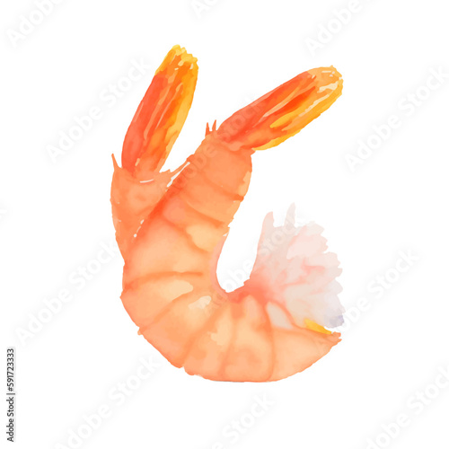 shrimp with style hand drawn digital painting illustration