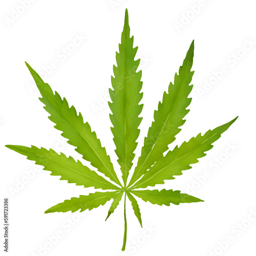 cannabis leaf with style hand drawn digital painting illustration