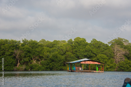 mangrove swamp in coveñas colombia by the sea tropical forest at the beach