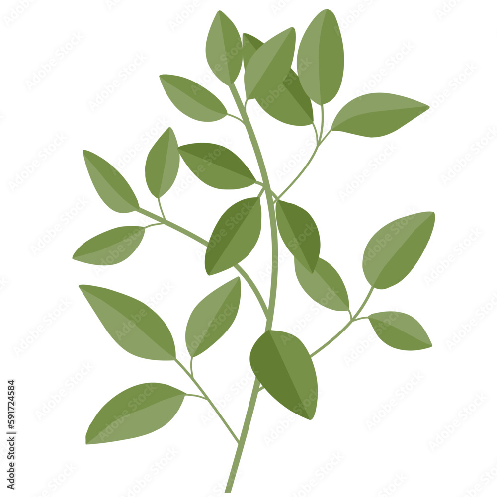 Obraz premium Illustration of branch leaves 