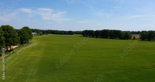 View of a green agricultural field. Beautiful summer landscape.
